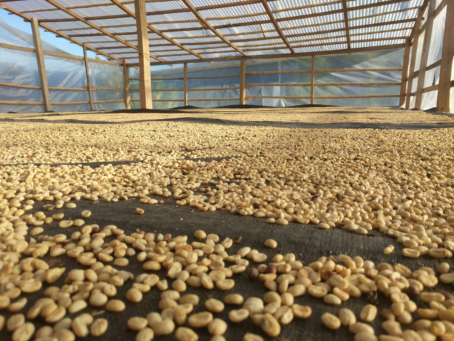 A medium roast blend of Central and South American coffees. Balanced for sipping anytime of day. Nutty, smooth and satisfying. One of our most popular blends