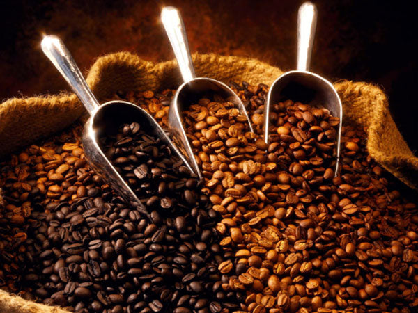 Dark roast with complex flavors. Sweet and full bodied. Moderate acidity. Region: Central America, South America, Africa.