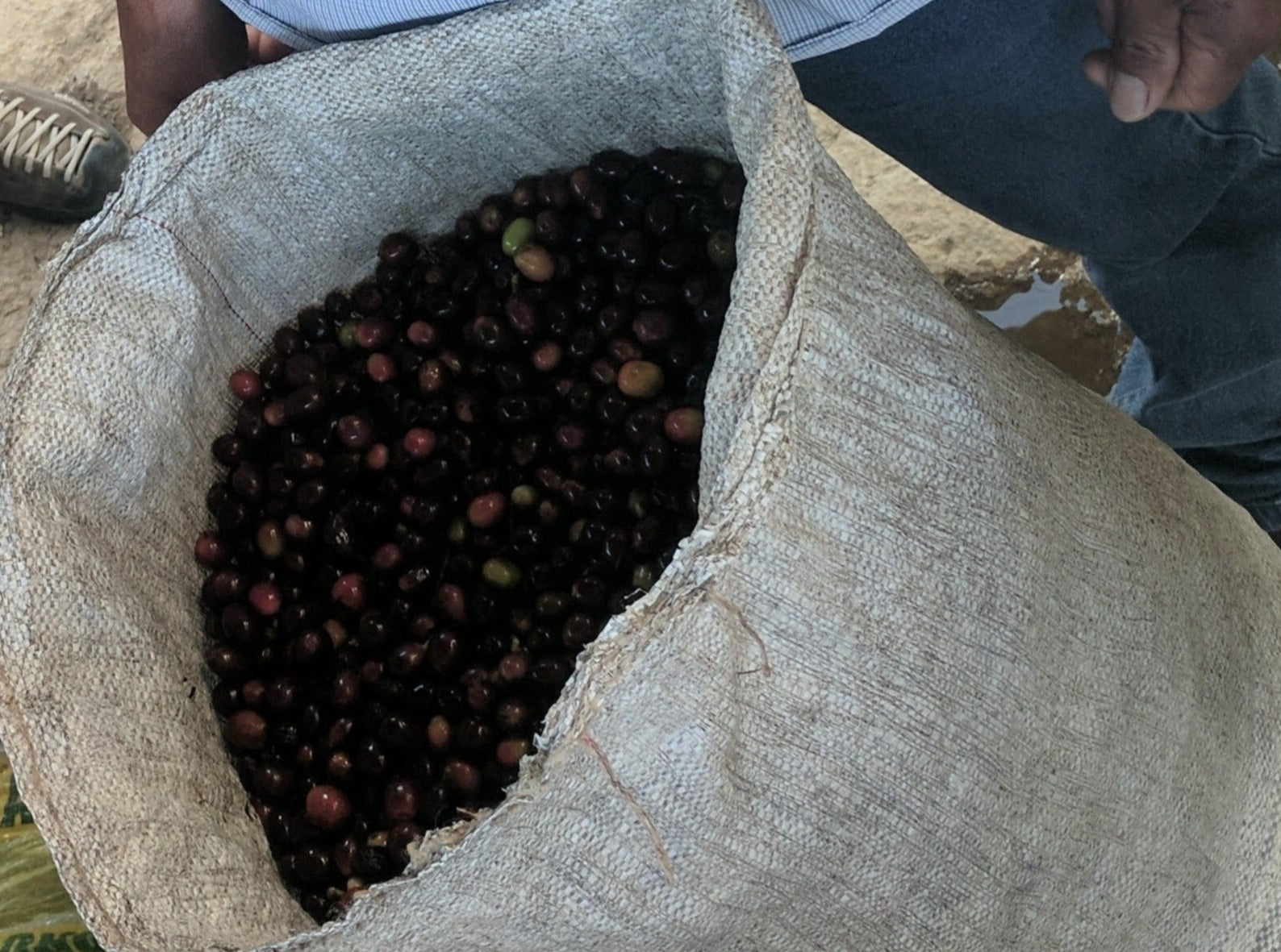Mocha Java is a classic blend of Indonesian and East African coffees.  Melding juicy acidity with big body and unctuous mouthfeel provides an ultimately and deeply satisfying coffee.