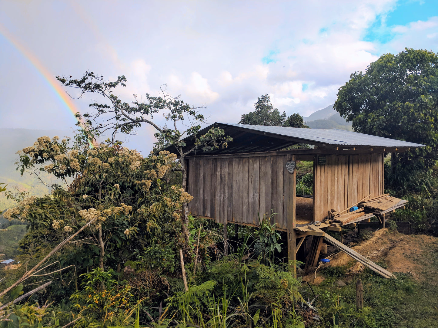 Sofia is a true 4th wave coffee. Dark, smokey (but not too...), smooth and balanced. Everything you want in a full bodied dark roast coffee.